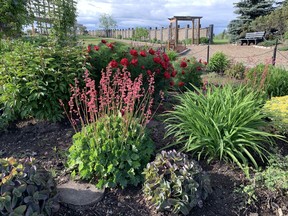 Botanical Gardens of Silver Springs. Courtesy, Deborah Maier