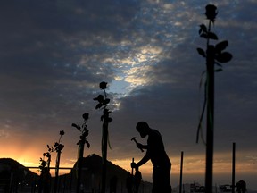 A member of Rio de Paz NGO places red flowers along Copacabana beach to pay tribute to the Brazil's half a million COVID-19 deaths in Rio de Janeiro, Brazil, June 20, 2021.