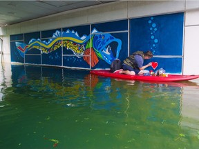Calgary artist Brad Hays paints from a stand-up paddle board as he nears completion on a unique mural under the bridge crossing the Bowness Lagoon on Wednesday, July 7, 2021. The logo draws on an historical news story from 1942 when a massive ling fish that was nicknamed Ogopogo startled visitors at Bowness Lagoon. The fish was eventually caught and killed by parks staff.

Gavin Young/Postmedia