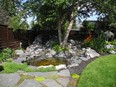 This southwest backyard oasis, created by Lions Bridge Landscaping in 2019, incorporates a water feature, new fencing, flagstone paths, beds, mulch and plant material. The crab apple tree was retained and the dual water 'falls' and pond 'hug' the tree, creating the impression the water feature has been in place for many years. Photo, Bill Brooks