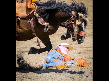 Parker Kempfer of Deer Park, FL, is tossed off a horse called Distilled Whiskey during the saddle-bronc event at the Calgary Stampede rodeo on Monday, July 12, 2021. Al Charest / Postmedia