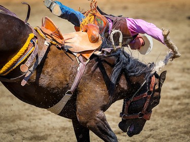 Parker Kempfer of Deer Park, FL, is tossed off a horse called Distilled Whiskey during the saddle-bronc event at the Calgary Stampede rodeo on Monday, July 12, 2021. Al Charest / Postmedia