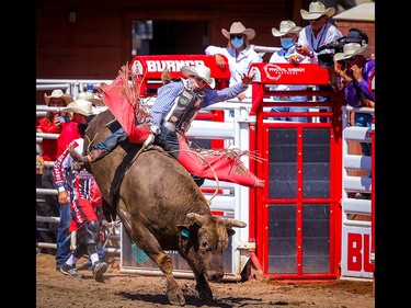 JC Mortensen of Paulden, AZ, hangs on tight for an 88.5 on a bull named Grey Tower III during the bull-riding event at the Calgary Stampede rodeo on Monday, July 12, 2021. Al Charest / Postmedia