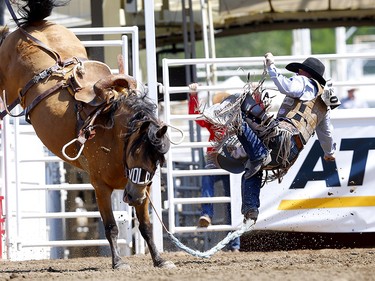 Jake Watson from Hudsons Hope, BC, riding Alberta Moon during the Saddle Bronc event on day 4 of the 2021 Calgary Stampede rodeo on Monday, July 12, 2021. Darren Makowichuk/Postmedia