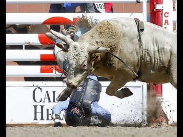 Gavin Michael from Nixa, MO riding Devils Advocate during the Bull riding event on day 4 of the 2021 Calgary Stampede rodeo on Monday, July 12, 2021. Darren Makowichuk/Postmedia
