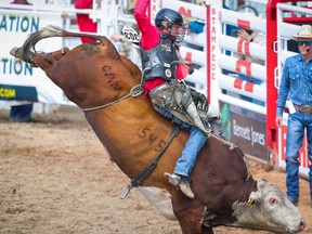 Dakota Buttar of Kindersley, SK,hangs on tight for an 90 on a bull named Timber Jam during the bull-riding event at the Calgary Stampede rodeo on Friday, July 9, 2021. Al Charest / Postmedia