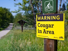 Warning signs are posted at Votier Flats in Fish Creek Provincial Park after a cougar was spotted in the area Tuesday, July 13, 2021.