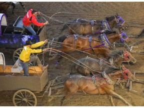 Kurt Bensmiller catches Vern Nolin at the finish in Heat 9 of the Rangeland Derby chuckwagon races at the Calgary Stampede in Calgary, Ab., on Friday July 5, 2019.