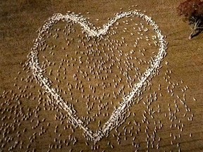 In this screenshot taken from Jackson's video, sheep form the shape of a heart in a field in Guyra, northern New South Wales, Australia, Thursday, Aug. 5