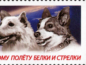 This Russian stamp honours Belka and Strelka, the stray dogs that 61 years ago today became the first living creatures to go into orbit and survive.