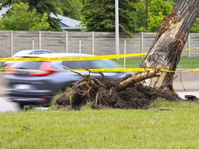 An uprooted tree and police tape mark the scene the fatal crash on southbound Crowchild Trail near 24th Street N.W. on June 10, 2018.