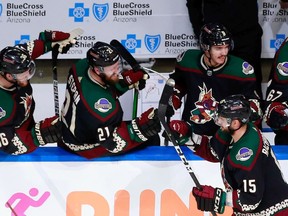 Brad Richardson, then of the Arizona Coyotes, celebrates a goal in this photo from Aug. 15, 2020.