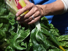 British Columbians (31.4 per cent) and Ontarians (31 per cent) are the nation's biggest produce lovers.