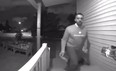 Calgary Skyview MP George Chahal caught on camera allegedly removing an opponent's campaign flier on Sunday