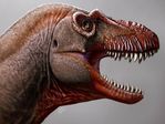 T-rex was as smart as the modern day primates, study claims