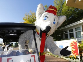 Calgary Flames mascot Harvey the Hound shown in this file photo from when the Flames hosted the Calgary Flames Celebrity Charity Golf Classic on September 4, 2019.