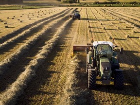 A farmer harvests hay on a farm near Cremona, Alta., Sunday, Aug. 16, 2020.