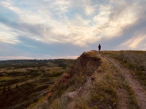 An image of Dry Island Buffalo Jump Provincial Park just before sunset
