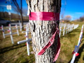 A red ribbon in memory of missing and murdered Indigenous women and girls is tied to a tree at the Field of Crosses in Calgary on Wednesday, October 27, 2021.