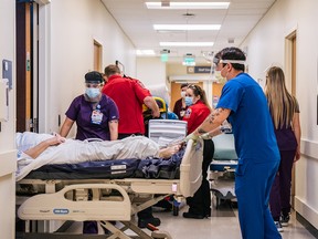 Emergency room nurses and EMTs tend to patients in hallways at the Houston Methodist The Woodlands Hospital on Aug. 18, 2021 in Houston, Texas. Hospitals are straining to keep up with the surge of new coronavirus patients as schools and businesses continue to reopen.