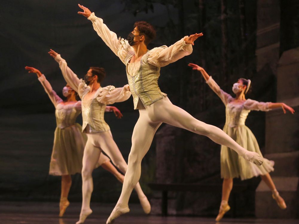 Review: Swan Lake sets the stage for Alberta Ballet's graceful and
triumphant return