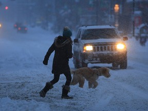 A pedestrian walks a dog in Kensington after a winter storm hit the city on Dec. 22, 2020.