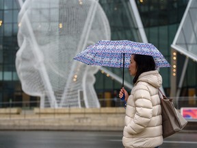 A woman carries an umbrella in the rainy weather in downtown Calgary with the Wonderland Sculpture in the background on Monday, November 15, 2021.