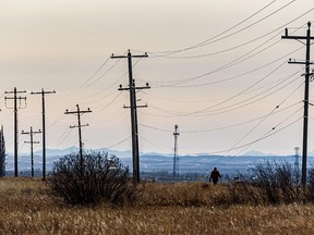 A pedestrian walks along the pathway in Valleyview Park as the afternoon sun shines on the power lines on Wednesday, November 17, 2021.