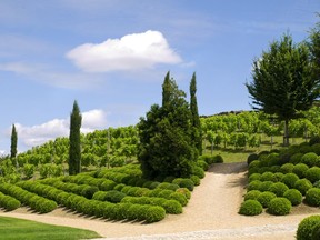 Loire Valley is producing some great Cabernet Franc. Herald Files