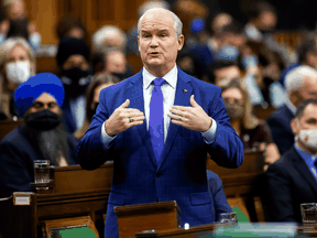 Conservative Party leader Erin O'Toole speaks in the House of Commons on November 23, 2021. O’Toole has not said how many of his 118 MPs have been vaccinated or if any have a medical exemption.