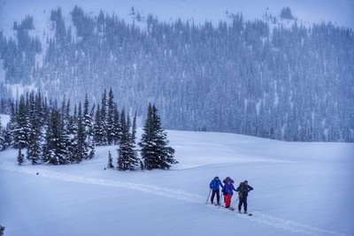 Backcountry Skiing Course For Beginners - Yamnuska