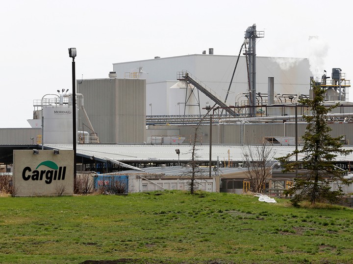  Nearly 950 workers at Cargill’s High River plant tested positive for COVID-19 in spring of 2020.