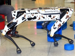 The TELUS Spark Science Centre has adopted a new ambassador of digital literacy, technology and coding. Flint is a robot dog made by Boston Dynamics which will be used to help students learn coding.