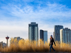Late afternoon sun lights up ornamental grass and the city skyline along the Riverwalk near Fort Calgary on Tuesday, December 7, 2021.
