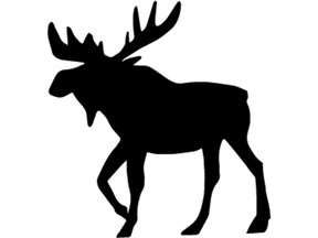 Chloë Chapdelaine decided she wanted to give the moose crossing road sign a new look, which was eventually noticed and picked up by the Transportation Association of Canada.