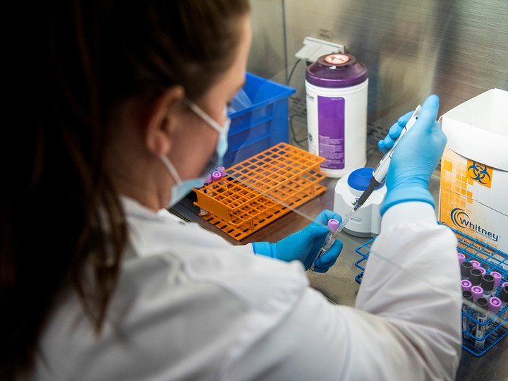  Microbiology technologists test patient samples for COVID-19 variants at the Wexner Medical Center in Columbus, Ohio, on Dec. 6, 2021.