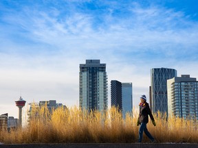 Late afternoon sun lights up ornamental grass and the city skyline along the Riverwalk near Fort Calgary on Tuesday, Dec. 7, 2021.