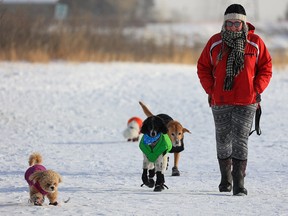 Sidney Webster was as bundled up as the dogs she walked in the -25 C weather at the River Park off-leash area in Calgary on Wednesday, January 5, 2022.