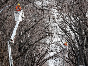 Enmax workers install new street lights in Crescent Heights on Jan. 17, 2022. The city has hired a new contractor to do the job.