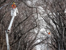 City hopes new repair contract will clear the backlog of burnt out street lights