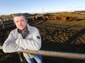 Keith Gregory, owner of Cattleland Feedyard near Strathmore, on Wednesday, January 26, 2022.