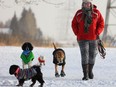 Sidney Webster was as bundled up as the dogs she walked in the -25C weather at the River Park off leash area in Calgary on Wednesday, January 5, 2022.