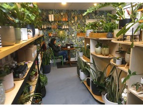Patrons at Maven on 17th Avenue S.W. are surrounded by greenery as the restaurant also has an attached plant shop. Darren Makowichuk/Postmedia