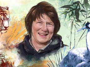 Dr. Sandie Black's retirement from the Wilder Institute and Calgary Zoo. Black is shown in an undated, unsourced image courtesy of the Calgary Zoo.