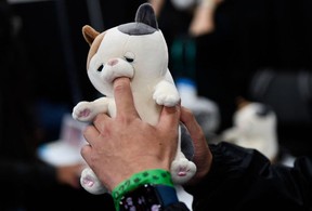 An attendee places a finger inside the mouth of Yukai Engineering Inc.’s Amagami HamHam play-biting cat robot, during the Consumer Electronics Show in Las Vegas, Nevada. Patrick T. Fallon / AFP