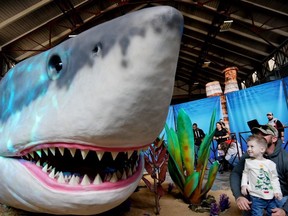Jurassic Quest returns to Calgary in April with its giant dinosaurs and massive megalodon. Supplied