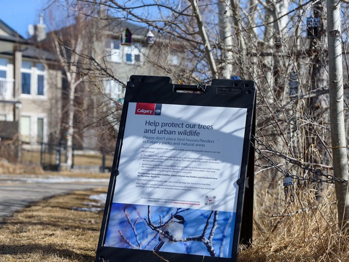  A notice from the City of Calgary asking the residents of Royal Oak to remove the birdhouses.