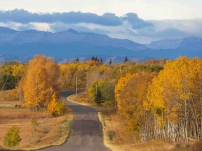 A road winds through the autumnal hills southwest of Calgary, in September 2021. It's just one of many stunning photos taken by INMA winner Mike Drew.