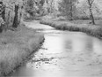 Fish Creek in fall. Photo, Andrew Penner