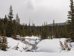 Fresh snow on top of the remains of winter snow in the Kananaskis River valley west of Calgary, Ab. on Tuesday, April 12, 2022.